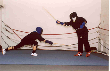 Canne demonstráció